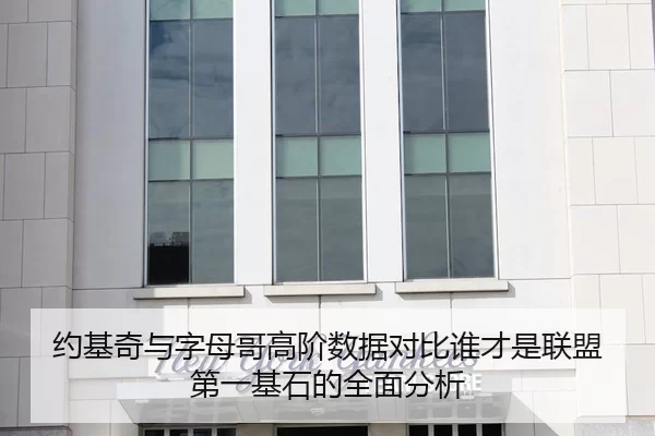 约基奇与字母哥高阶数据对比谁才是联盟第一基石的全面分析