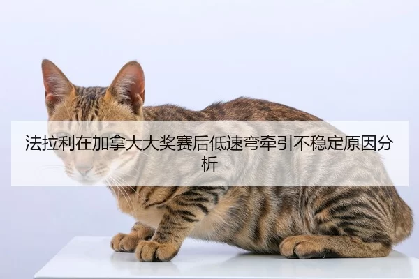 fa-la-li-zai-jia-na-da-da-jiang-sai-hou-di-su-wan-qian-yin-bu-wen-ding-yuan-yin-fen-xi-2-527.jpg