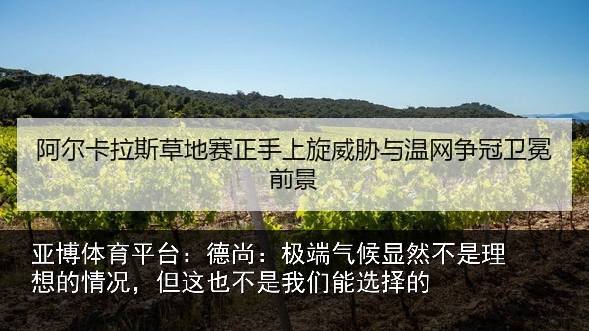 亚博体育平台:德尚相关情况理想相关情况我们能选择的