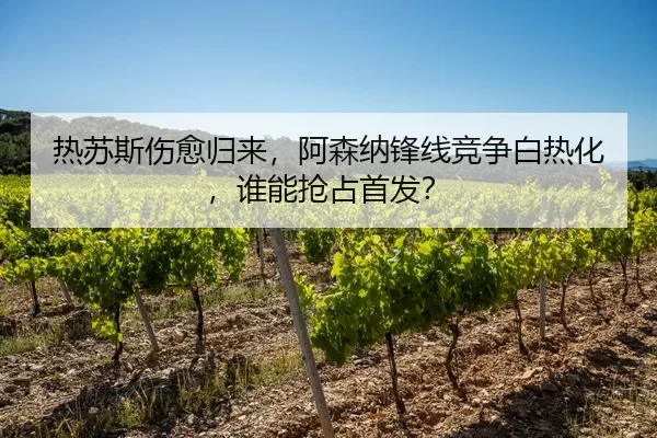 re-su-si-shang-yu-gui-lai-a-sen-na-feng-xian-jing-zheng-bai-re-hua-shui-neng-qiang-zhan-shou-fa-2-222.jpg