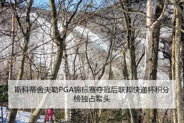 斯科蒂舍夫勒PGA锦标赛夺冠后联邦快递杯积分榜独占鳌头